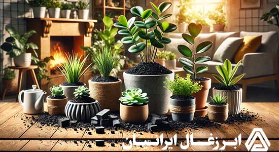 فواید زغال برای گیاهان